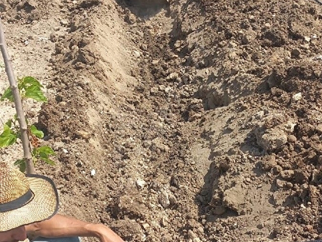 ÇATALCA BİNKILIÇTA SAHİBİNDEN TEK TAPU 907 m2 SATILIK ARSA - Görsel 2