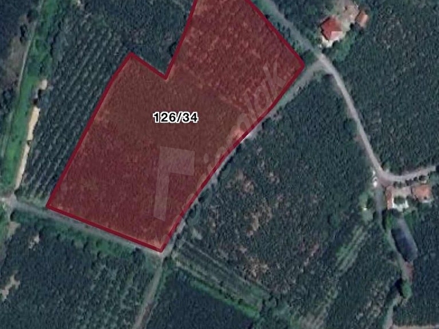 YILDIZOĞLU GAYRİMENKULDEN SATILIK 7200 M2 TARLA - Görsel 2
