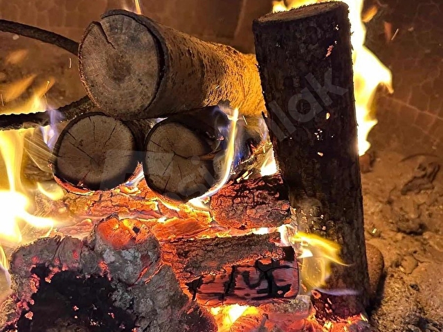 GEBZE KARGALI MAHALLESİNDE MÜSTAKİL HAVUZLU VİLLA - Görsel 21