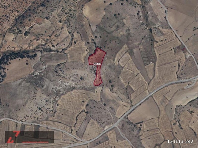 TEPEKENT DE 7071 M2 MÜSTAKİL TAPU SATILIK TARLA - Görsel 2