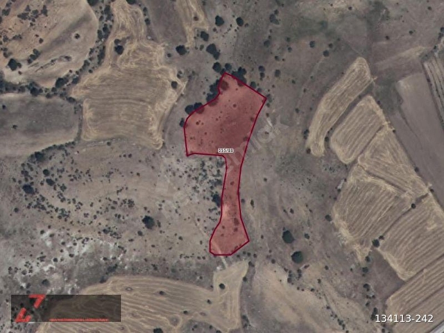 TEPEKENT DE 7071 M2 MÜSTAKİL TAPU SATILIK TARLA - Görsel 3