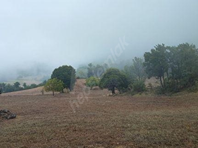 BOLU-GÖYNÜK te SATILIK 9.700 m2 FIRSAT ARSASI - Görsel 12