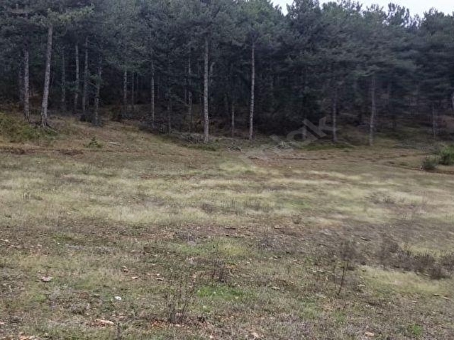 BOLU-GÖYNÜK te SATILIK 9.700 m2 FIRSAT ARSASI - Görsel 18