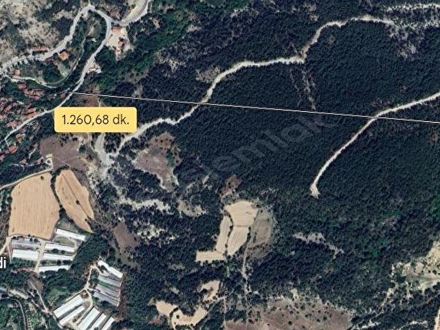 BOLU-GÖYNÜK te SATILIK 9.700 m2 FIRSAT ARSASI - Görsel 24