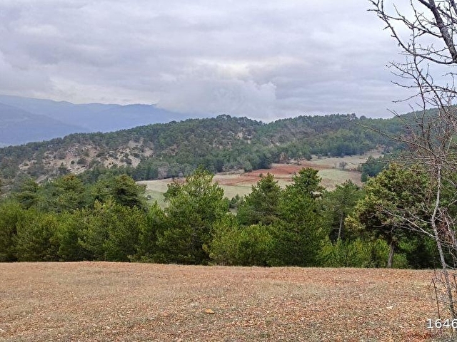 BOLU-GÖYNÜK te SATILIK 9.700 m2 FIRSAT ARSASI - Görsel 6
