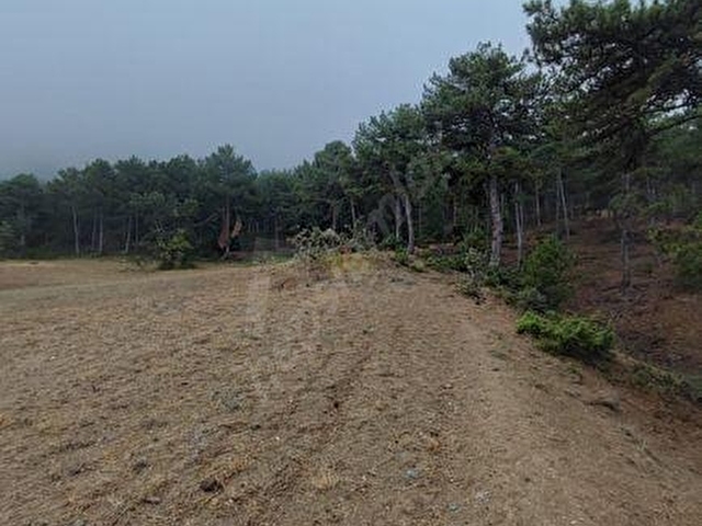BOLU-GÖYNÜK te SATILIK 9.700 m2 FIRSAT ARSASI - Görsel 15