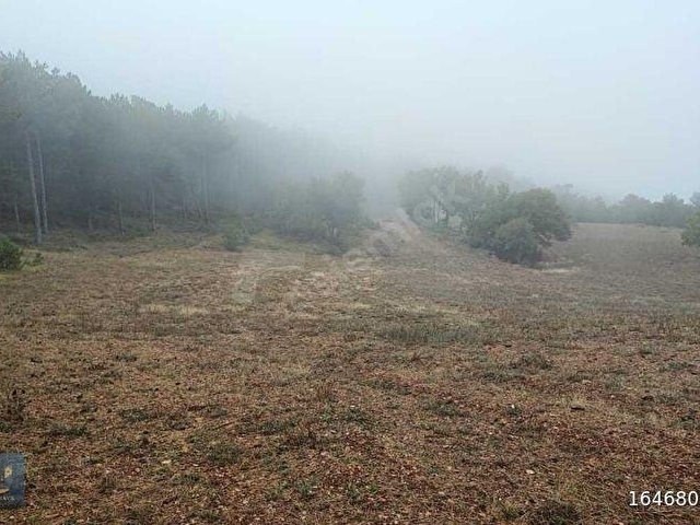 BOLU-GÖYNÜK te SATILIK 9.700 m2 FIRSAT ARSASI - Görsel 16