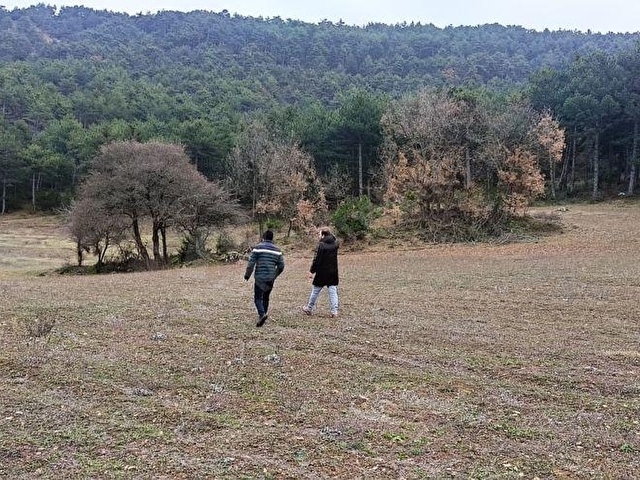BOLU-GÖYNÜK te SATILIK 9.700 m2 FIRSAT ARSASI - Görsel 4