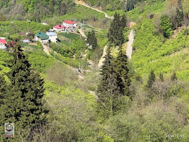AĞILLI Mahallesinde, Resmi YOLA Cepheli - Görsel 3