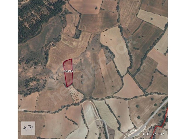 Kütahya / Eskigediz Sabırgazi Mah. de 3.251 m2 Bahçe - Görsel 5