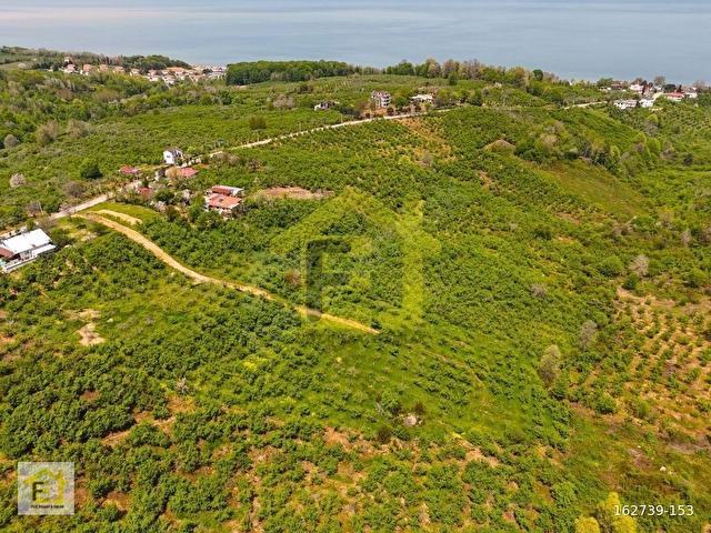 Akçakoca Hasançavuşta İmara Sınır Deniz Manzaralı Satılık Arazi - Görsel 7