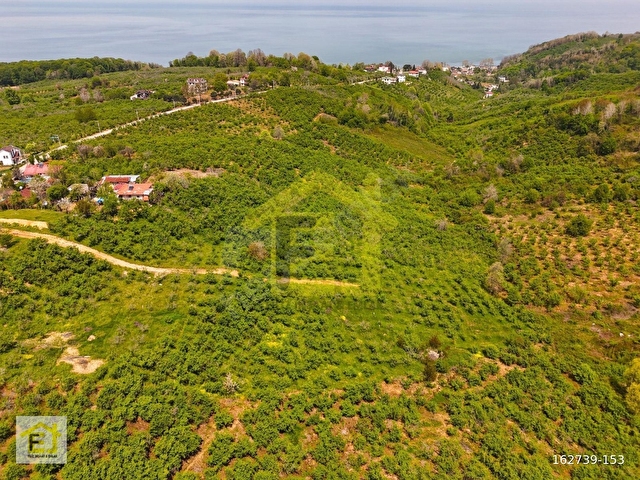 Akçakoca Hasançavuşta İmara Sınır Deniz Manzaralı Satılık Arazi - Görsel 5