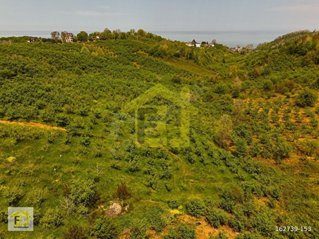 Akçakoca Hasançavuşta İmara Sınır Deniz Manzaralı Satılık Arazi - Görsel 11