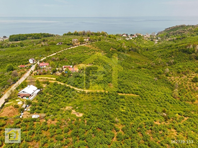 Akçakoca Hasançavuşta İmara Sınır Deniz Manzaralı Satılık Arazi - Görsel 13
