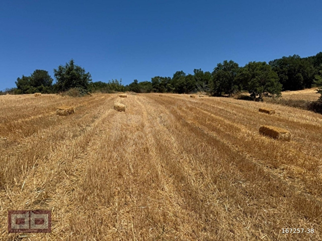 ÇANAKKALE BİGA ÇELTİK MÜSTAKİL TAPU TARLA 7.350 M2 - Görsel 21