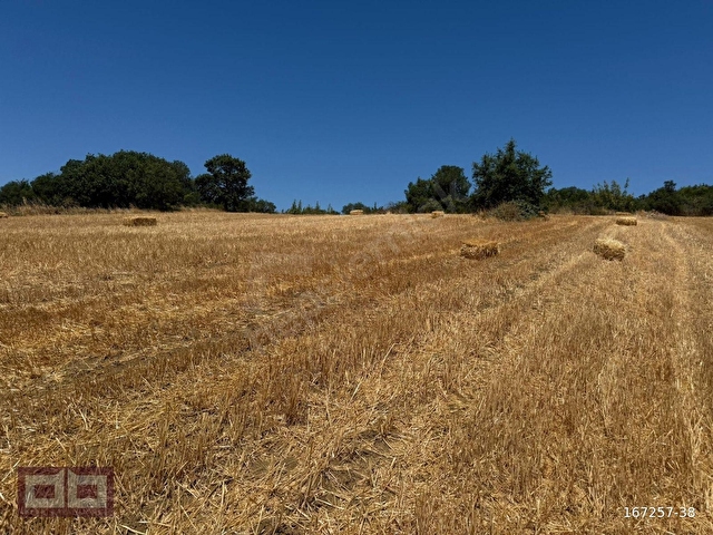 ÇANAKKALE BİGA ÇELTİK MÜSTAKİL TAPU TARLA 7.350 M2 - Görsel 20