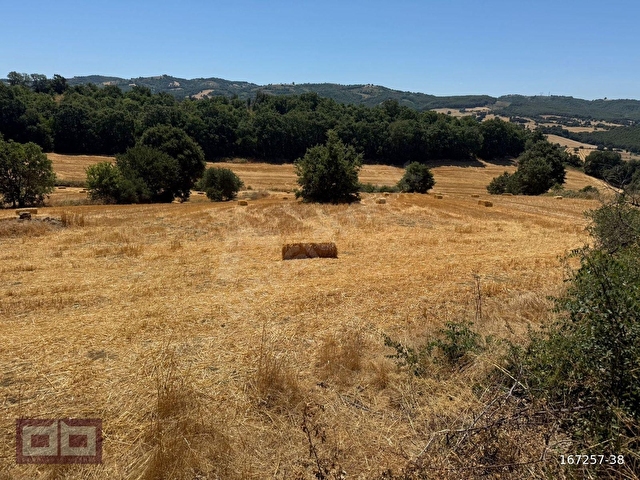 ÇANAKKALE BİGA ÇELTİK MÜSTAKİL TAPU TARLA 7.350 M2 - Görsel 22