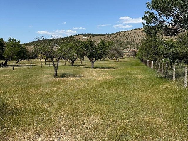YAĞLIPINARDA 5100 M2 ÇİFLİK YAPMAYA ELVERİŞLİ ACİL 9.800.000 tl - Görsel 2