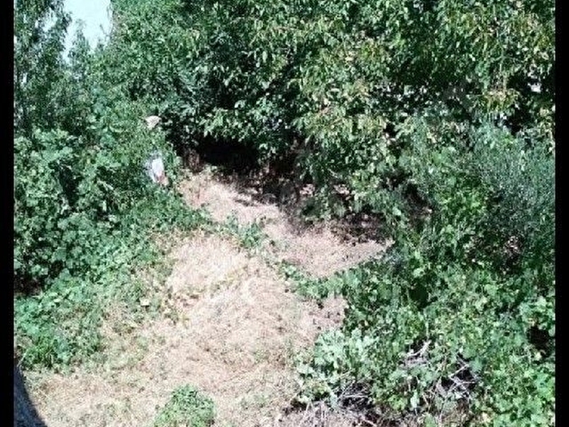 aydın Yenipazar - Görsel 3