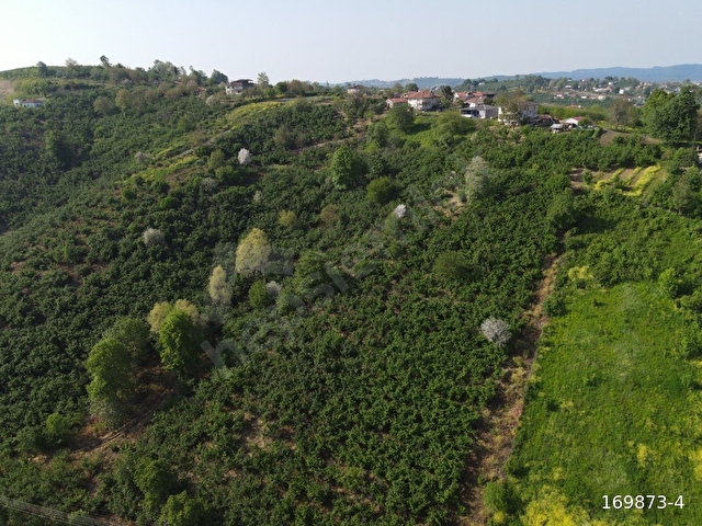 Sakarya ferizlide muhteşem manzaralı satılık imarlı arsa - Görsel 10