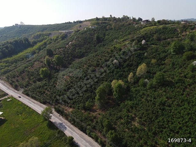 Sakarya ferizlide muhteşem manzaralı satılık imarlı arsa - Görsel 14