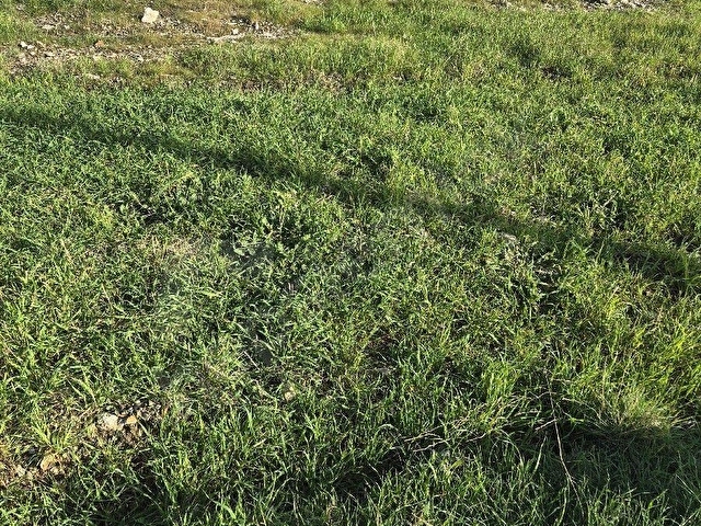YILDIRIM EMLAKTAN SATILIK MERSİN BOZYAZIIDA MERKEZE  3 KM YERLEŞİM ALANI İÇERİSİNDE SATILIK TARLA - Görsel 16