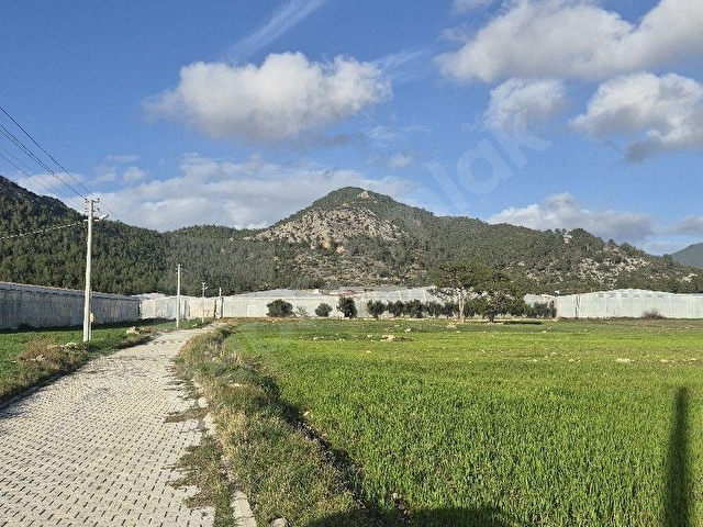 YILDIRIM EMLAKTAN SATILIK MERSİN BOZYAZIIDA MERKEZE  3 KM YERLEŞİM ALANI İÇERİSİNDE SATILIK TARLA - Görsel 20