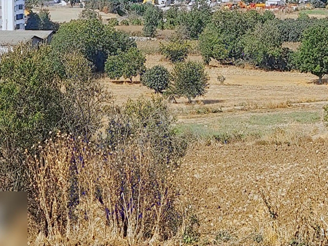 Tekirdağ Altınova Mevkii İmarlı Satılık Villa Arsası - Görsel 17