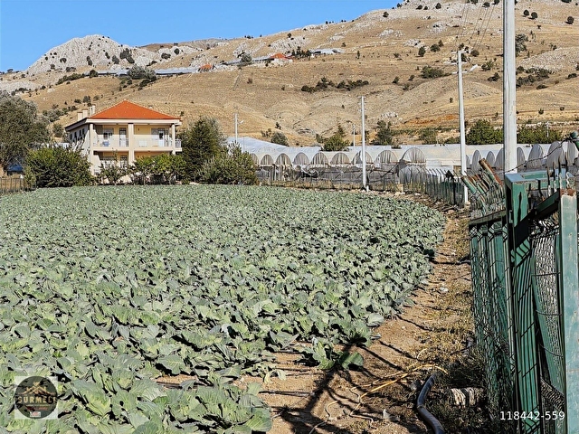 YAYLA KAYABAŞDA MÜSTAKİL BAHÇELİ EV VE 5642 M2 TARLASI İLE - Görsel 18