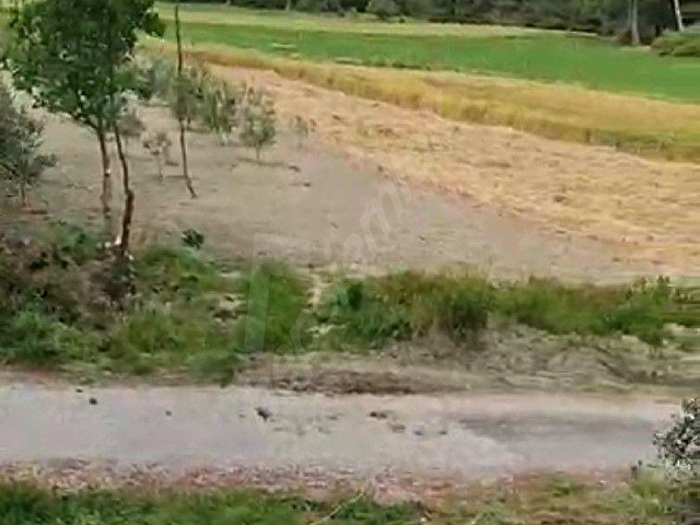 SAHİBİNDEN; DOĞA HARİKASI KORUBÜKÜNDE YOL SU MEVCUT 5.161M2 - Görsel 7