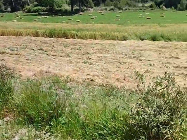 SAHİBİNDEN; DOĞA HARİKASI KORUBÜKÜNDE YOL SU MEVCUT 5.161M2 - Görsel 9