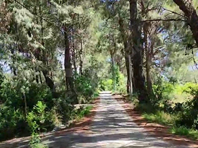 SAHİBİNDEN; DOĞA HARİKASI KORUBÜKÜNDE YOL SU MEVCUT 5.161M2 - Görsel 12