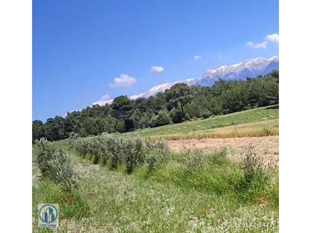 SAHİBİNDEN; DOĞA HARİKASI KORUBÜKÜNDE YOL SU MEVCUT 5.161M2 - Görsel 17
