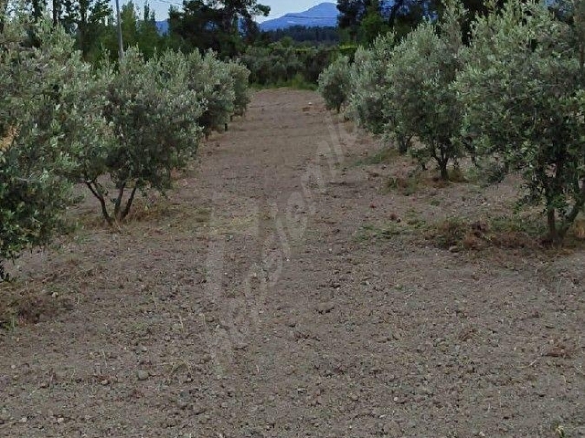 SAHİBİNDEN; DOĞA HARİKASI KORUBÜKÜNDE YOL SU MEVCUT 5.161M2 - Görsel 21