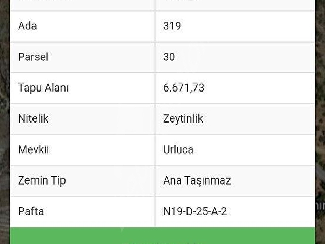 Satılık Yatırımlık Yola Sıfır Zeytinlik - Görsel 3
