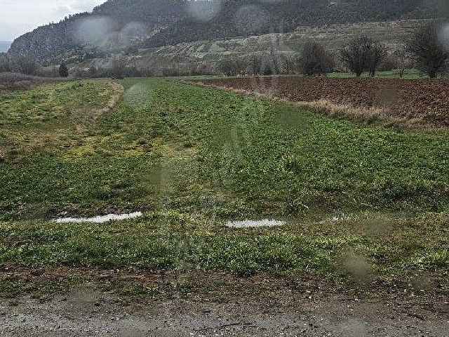 BOLU GÖYNÜK SATILIK ARAZİ