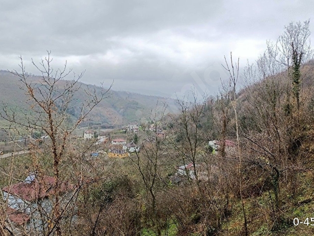 sahibinden satılık fındık bahçesi ev yapımında hiç bir sıkıntısı yok - Görsel 8