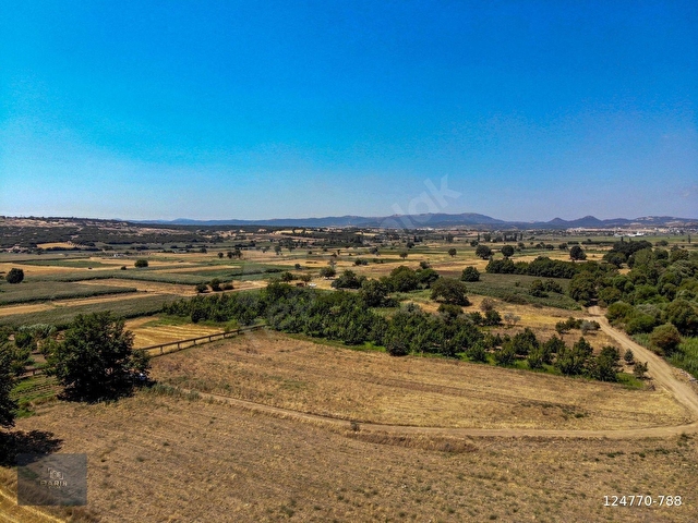 ÇANAKKALE EZİNE KIZILKÖYDE SATILIK FIRSAT TARLA! - Görsel 3