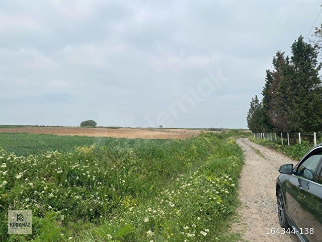  ERGENE YULAFLI MAHALLESİSATILIK TARLA – 6.720 m²Ana Asfalt Caddeye 105 Metre Cepheli  Köşe parsel - Görsel 4