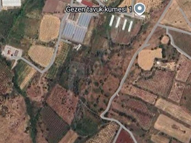 1 DÖNÜM FOÇAKÖYE DENİZE VE FOÇA YOLUNA 5 DAKİKALIK MESAFEDE - Görsel 3