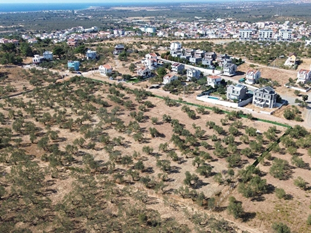 GEYİKLİ MERKEZDE İMAR SINIRINDA 250 METREKARE KOOPERATİF HİSSESİ - Görsel 4