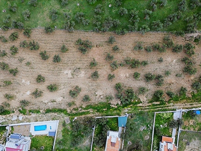 GEYİKLİ MERKEZDE İMAR SINIRINDA 250 METREKARE KOOPERATİF HİSSESİ - Görsel 2