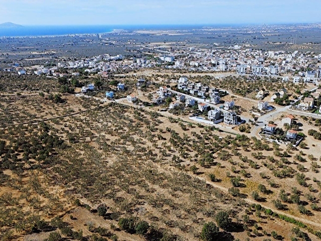 GEYİKLİ MERKEZDE İMAR SINIRINDA 250 METREKARE KOOPERATİF HİSSESİ - Görsel 15