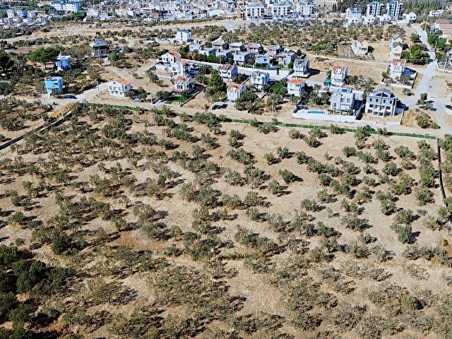 GEYİKLİ MERKEZDE İMAR SINIRINDA 250 METREKARE KOOPERATİF HİSSESİ - Görsel 19