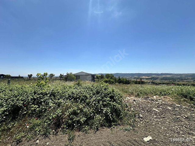 FAİK OZANdan Çatalca Subaşı 28.417m2 Müstakil Tarla