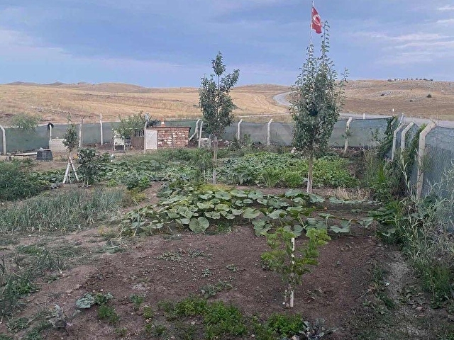 ARİFOĞLUDAN ANA YOLA SIFIR KAYITLI 2+1 EVLİ 580 m2 HİSSELİ ARSA - Görsel 11