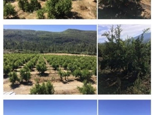 Antalya Serik Emincelerde Satilik Arsa Yatirimlik 105875 126 Hurriyet Emlak
