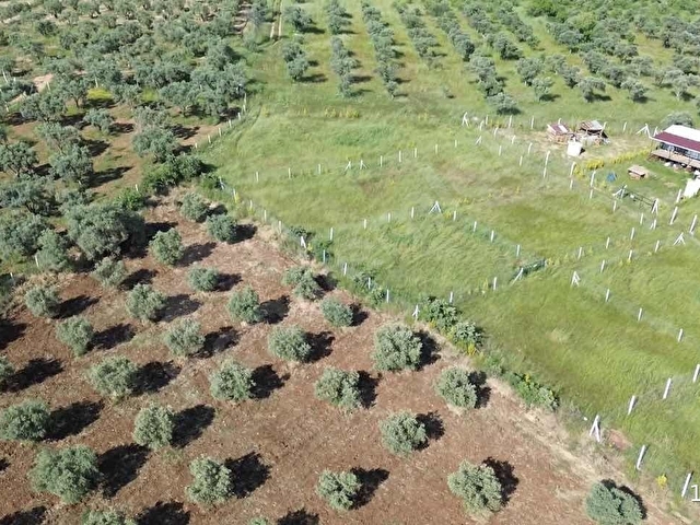 İZMİR TORBALIDA DOĞAYLA İÇ İÇE 250 m² SATILIK HOBİ BAHÇESİ - Görsel 5