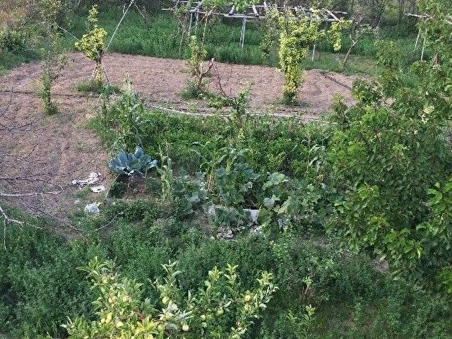 satılık villa arsası - Görsel 8