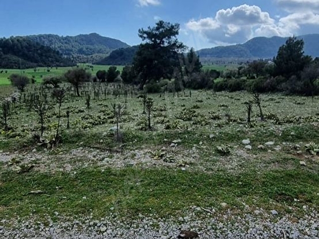 Muğla Fethiye Nif Mahallesinde Satılık Tarla - Görsel 13